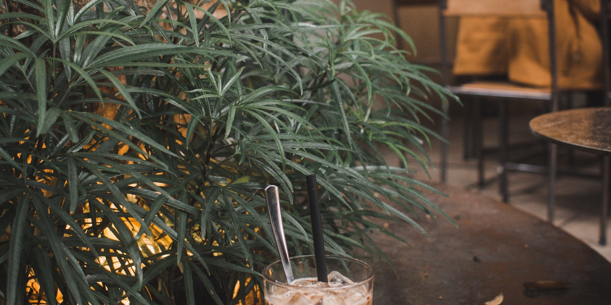 dimaz-fakhruddin-qSZ01k_k1wg-unsplash