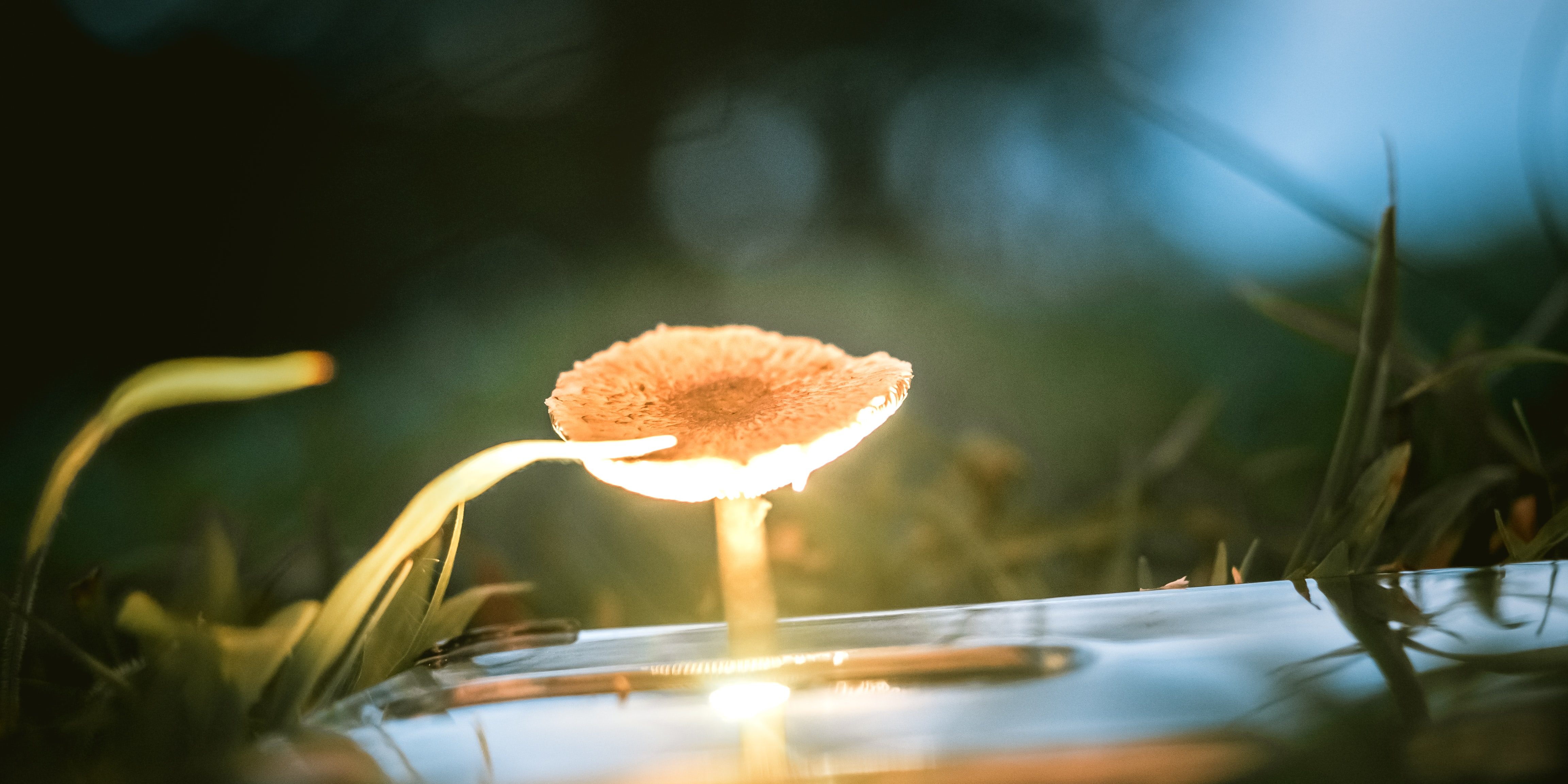 shubham-rana-ps2SYLdKPWw-unsplash