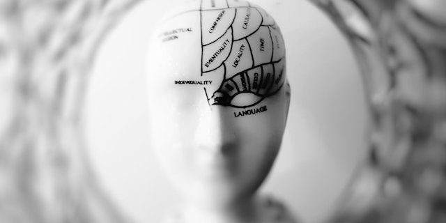 neuromarketing consumentengedrag