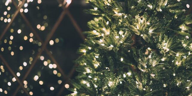 kerstboombrand voorkomen